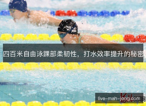 四百米自由泳踝部柔韧性,打水效率提升的秘密 四百米自由泳踝部柔韧性,打水效率提升的秘密